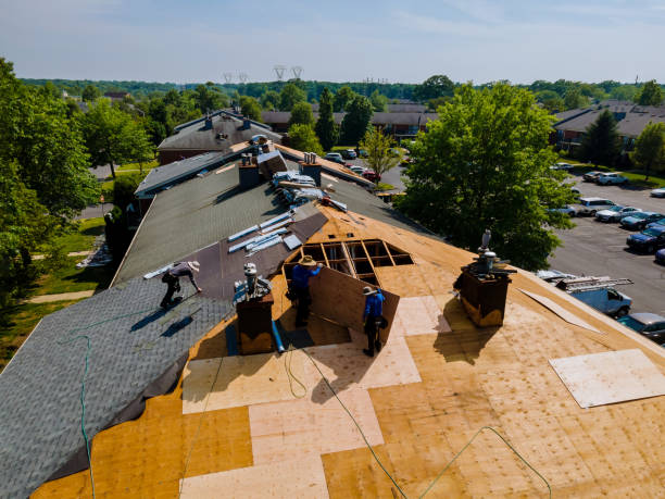 Quick and Trustworthy Emergency Roof Repair Services in Adamsville, AL