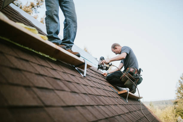 Quick and Trustworthy Emergency Roof Repair Services in Adamsville, AL